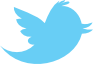 Twitter bird